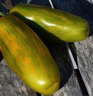 5 zaden tomaat Lange Aemer, Tuin en Terras, Bloembollen en Zaden, Zaad, Voorjaar, Volle zon, Verzenden