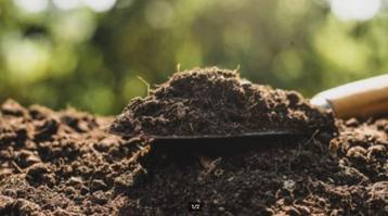 Compost in vrac beschikbaar voor biedingen