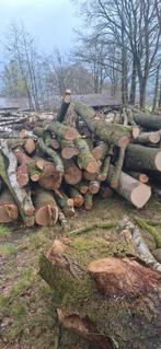 Eik en Berken stammen, Tuin en Terras, Brandhout, Ophalen, Stammen