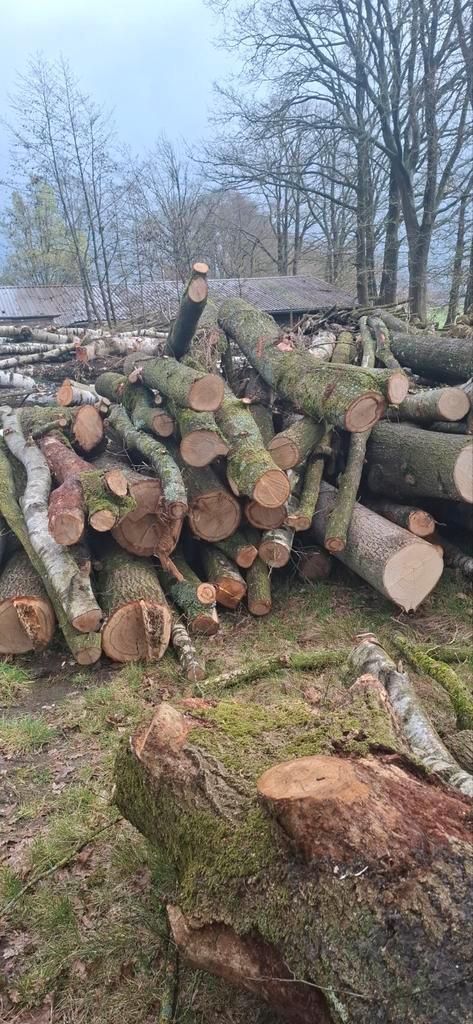 Eik en Berken stammen, Tuin en Terras, Brandhout, Stammen, Ophalen