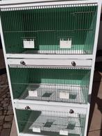 Kweekkooien voor kanaries,  exoten,..., Enlèvement, Bois