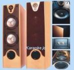 Speakers 2 x 180 Watt beuken houten kast op Spikes, Neuf, Autres marques, Enlèvement ou Envoi, 60 à 120 watts
