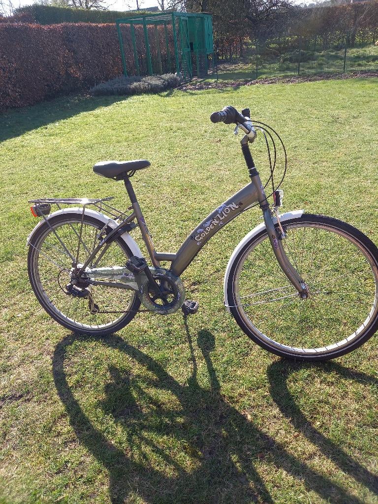 Fiets Golden Lion maat 43-53cm, Enlèvement, Vitesses