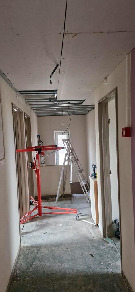 Ouvrier polyvalent, Articles professionnels, Immobilier d'entreprise