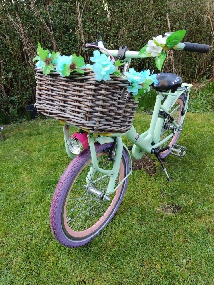 Kinderfiets Alpina Clubb 20 inch(4j-7j)met mandje, Ophalen, Zo goed als nieuw, 20 inch of meer, Alpina