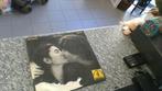orginele LP JOHN LENNON YOKO ONO, Cd's en Dvd's, Ophalen, 1980 - 1989, Gebruikt