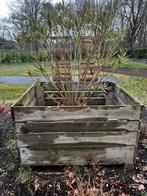 Houten fruitkisten, Ophalen, Zo goed als nieuw