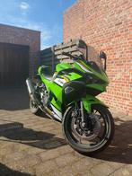 Kawasaki Ninja 500 Performance Edition 2025 – Akrapovič, Motoren, Motoren | Kawasaki, 2 cilinders, Minimaal motorrijbewijs A2