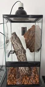 Terrarium arboricole 30x30x60cm., Animaux & Accessoires, Enlèvement, Terrarium ou Paludarium