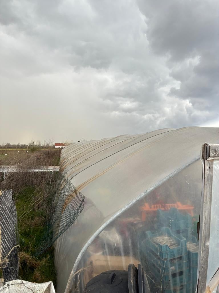 Tunnel serre 6m x 40m, Ophalen