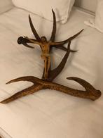 Beau Jésus Christ très vieux, Enlèvement ou Envoi