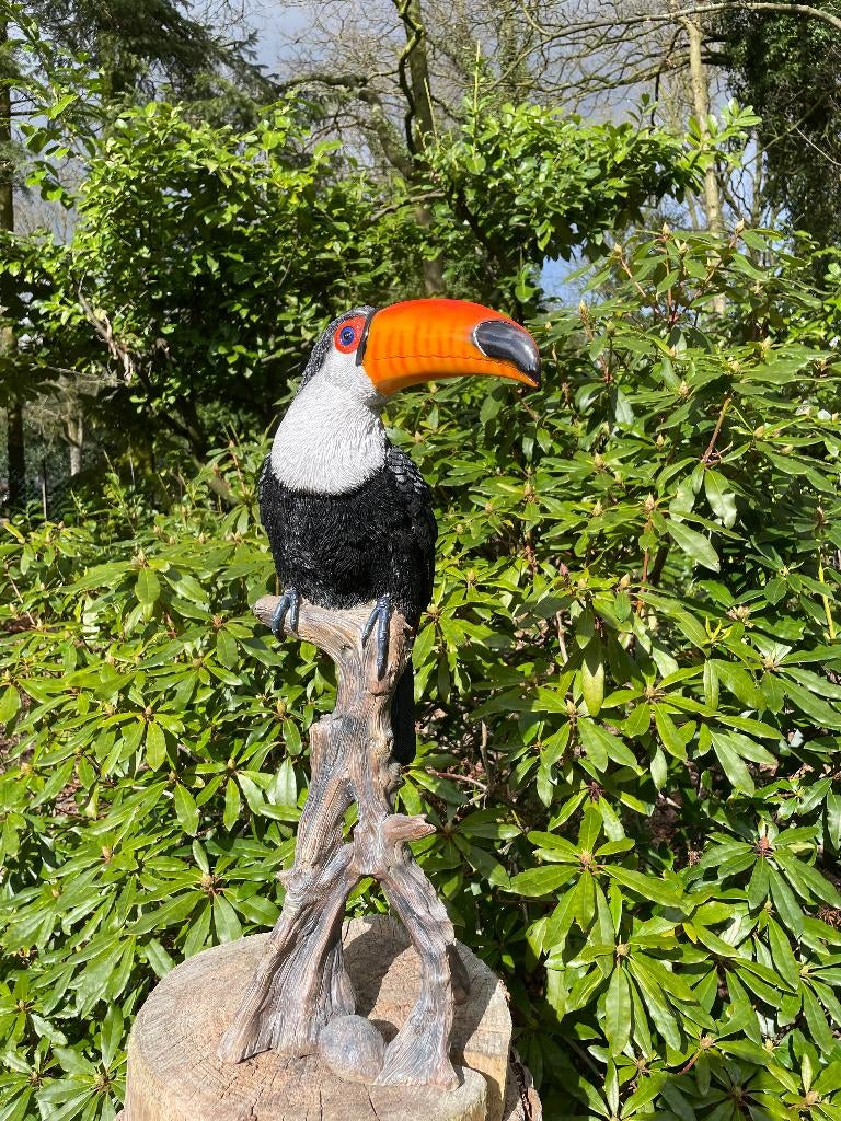 (Tuin)Beeld toekan, tuin, zwembad, vijver 65cm, Ophalen, Nieuw, Kunststof, Dierenbeeld