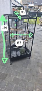 Cage à perroquets + caféier Java (set complet)
), Enlèvement, Bois