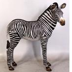 Zebra Veulen beeld - Hoogte 110 cm, Ophalen, Nieuw