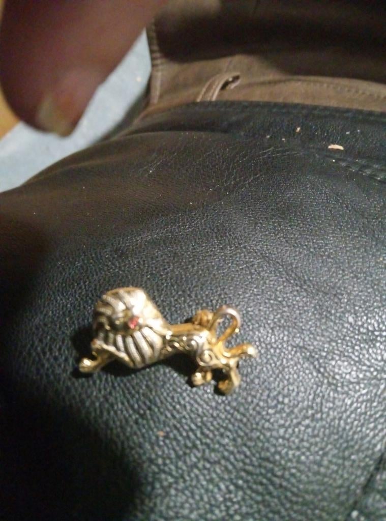 Broche en forme de lion doré, Enlèvement ou Envoi