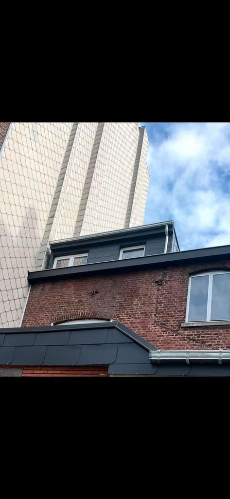 Travaux de toiture Liège et allentour !, Bricolage & Construction, Bricolage & Rénovation Autre, Enlèvement ou Envoi