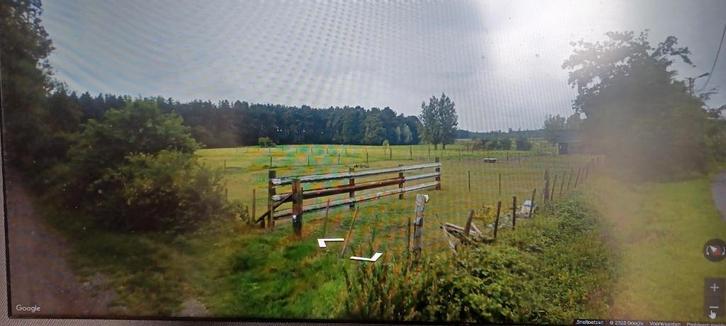 Weide te koop te 8340 SIJSELE ( DAMME ), Animaux & Accessoires, Box & Pâturages, Mise à l'étable, Pâturage, 2 ou 3 chevaux ou poneys