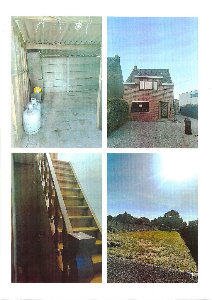 Woning te huur, Immo, Maisons à louer, Province d'Anvers, Maison individuelle, En direct du propriétaire