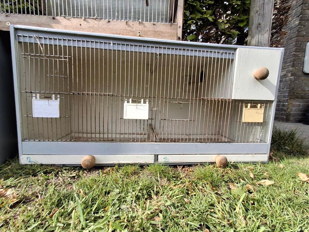 Vogel kooi, Animaux & Accessoires, Oiseaux | Cages & Volières, Enlèvement, Comme neuf, Bois, Cage d'élevage