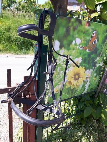 bridon cheval de trait, Enlèvement ou Envoi