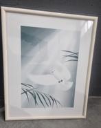 Henri Leonard, Ophalen