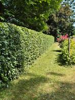 Jardinier  et homme a tout faire, Ophalen of Verzenden