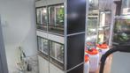 paludarium stelling, Dieren en Toebehoren, Amfibie, 3 tot 6 jaar