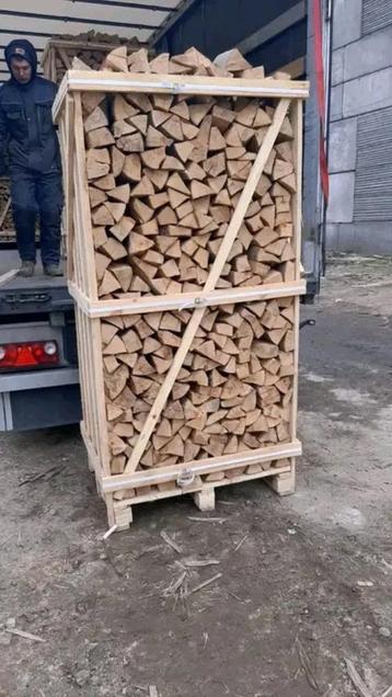 Beste kwaliteit brandhout 