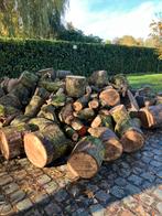 Houtbollen Populier €50/m3, Tuin en Terras, Brandhout, 6 m³ of meer, Ophalen, Overige houtsoorten, Blokken