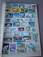 Postzegels ijsberen (cindy), Ophalen