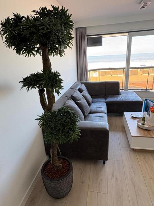 Vakantieappartement Blankenberge, Vakantie, Vakantie | Zon en Strand