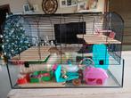 Hamster hooi glas, Dieren en Toebehoren, Ophalen