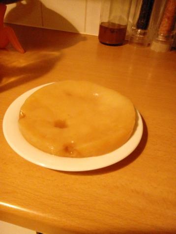 Kombucha scoby