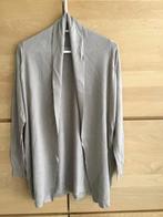 Open gilet D EXTERIOR, Maat 38/40 (M), Ophalen of Verzenden, Zo goed als nieuw, Grijs