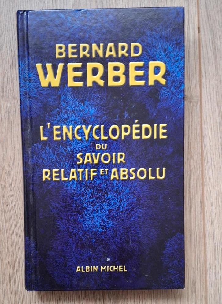 ROMANS FANTASY 4e/5e pieces, Boeken, Fantasy, Zo goed als nieuw, Ophalen of Verzenden