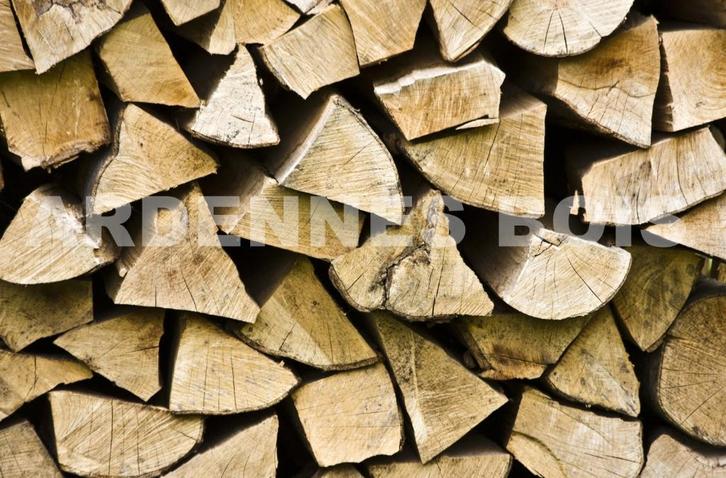 Brandhout met een lengte van 25 cm - Andere lengtes, Tuin en Terras, Brandhout, Beukenhout, Ophalen