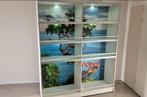 Kweekkooi Van Keulen met exotische achtergrond, Dieren en Toebehoren, Ophalen, Zo goed als nieuw