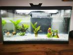 Aquarium 50 L Tom&co, Animaux & Accessoires, Poissons | Aquariums & Accessoires, Enlèvement, Comme neuf, Aquarium vide
