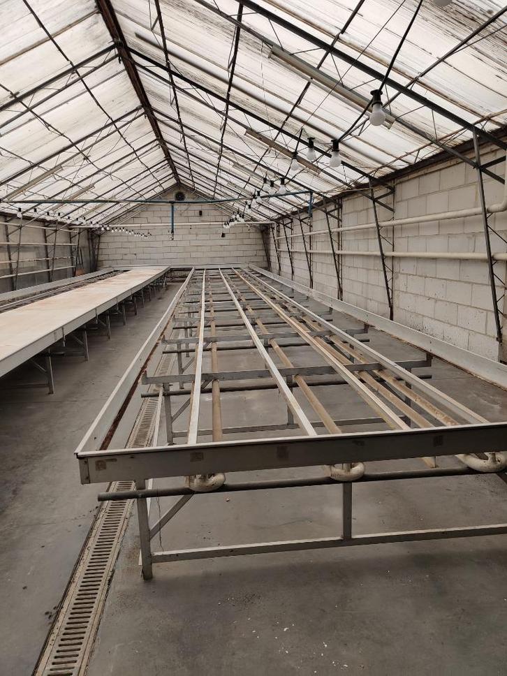 Plantentafel, Tuin en Terras, Kweekspullen, Gebruikt, Kweektafel, Ophalen