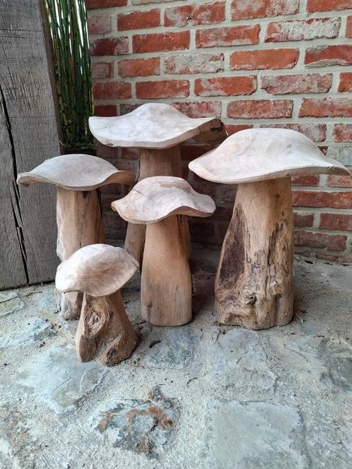 Teak houten paddestoelen set v 5 stuks!  Vh terras of tuin, Tuin en Terras, Tuinbeelden, Zo goed als nieuw, Hout, Ophalen of Verzenden