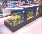 Grote winkel aquarium(s), quarantaine, opfok, grote vissen, Enlèvement, Utilisé, Aquarium vide