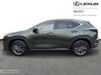 Lexus NX 350h Executive Line + HUD, Autos, Lexus, Argent ou Gris, Achat, 2487 cm³, 5 portes