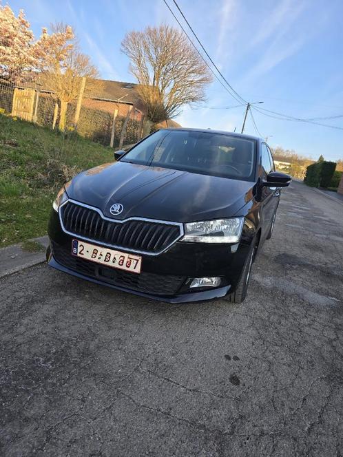 Skoda, Auto's, Skoda, Particulier, Fabia, Android Auto, Apple Carplay, Bluetooth, Boordcomputer, Centrale vergrendeling, Cruise Control