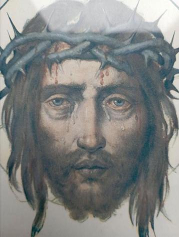 655) Christus met doornen  ( Jos Ratinckx ) beschikbaar voor biedingen