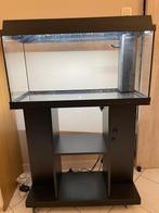 Juwel 110 aquarium+ verwarming-filtratie-licht+timer-meubel, Gebruikt, Ophalen, Leeg aquarium