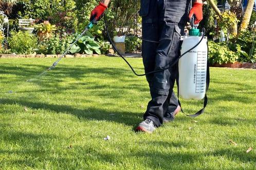 Onkruidbestrijding in tuinen / onkruidverdelging, Jardin & Terrasse, Pesticides, Répression des mauvaises herbes, Enlèvement ou Envoi