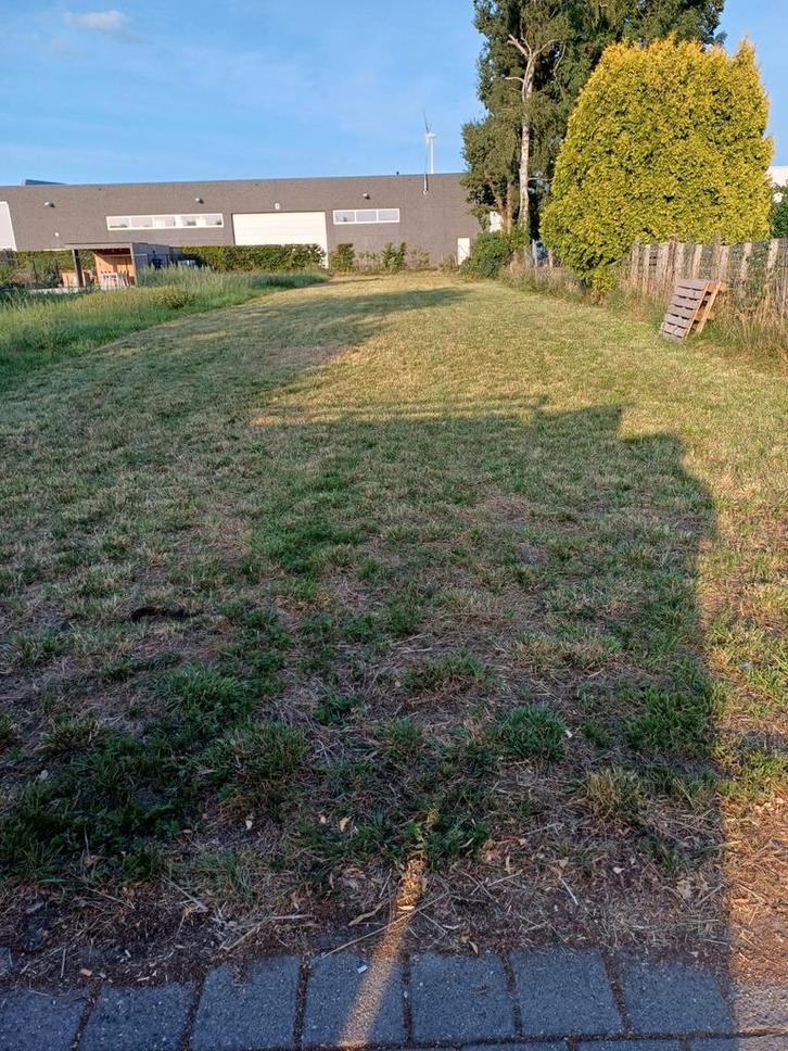 GRATIS thuin grond, Tuin en Terras, Planten | Struiken en Hagen, Ophalen