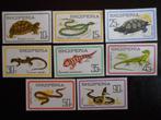 ALBANIË 1966 Slangen, schildpadden, amfibieën NIEUW** MNH, Postzegels en Munten, Verzenden, Postfris, Dier of Natuur