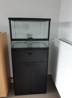 aquaterrarium + armoire et accessoires, Animaux & Accessoires, Reptiles & Amphibiens | Accessoires, Enlèvement ou Envoi, Comme neuf