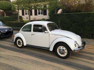 Volkswagen kever, Autos, Particulier, Achat, Volkswagen